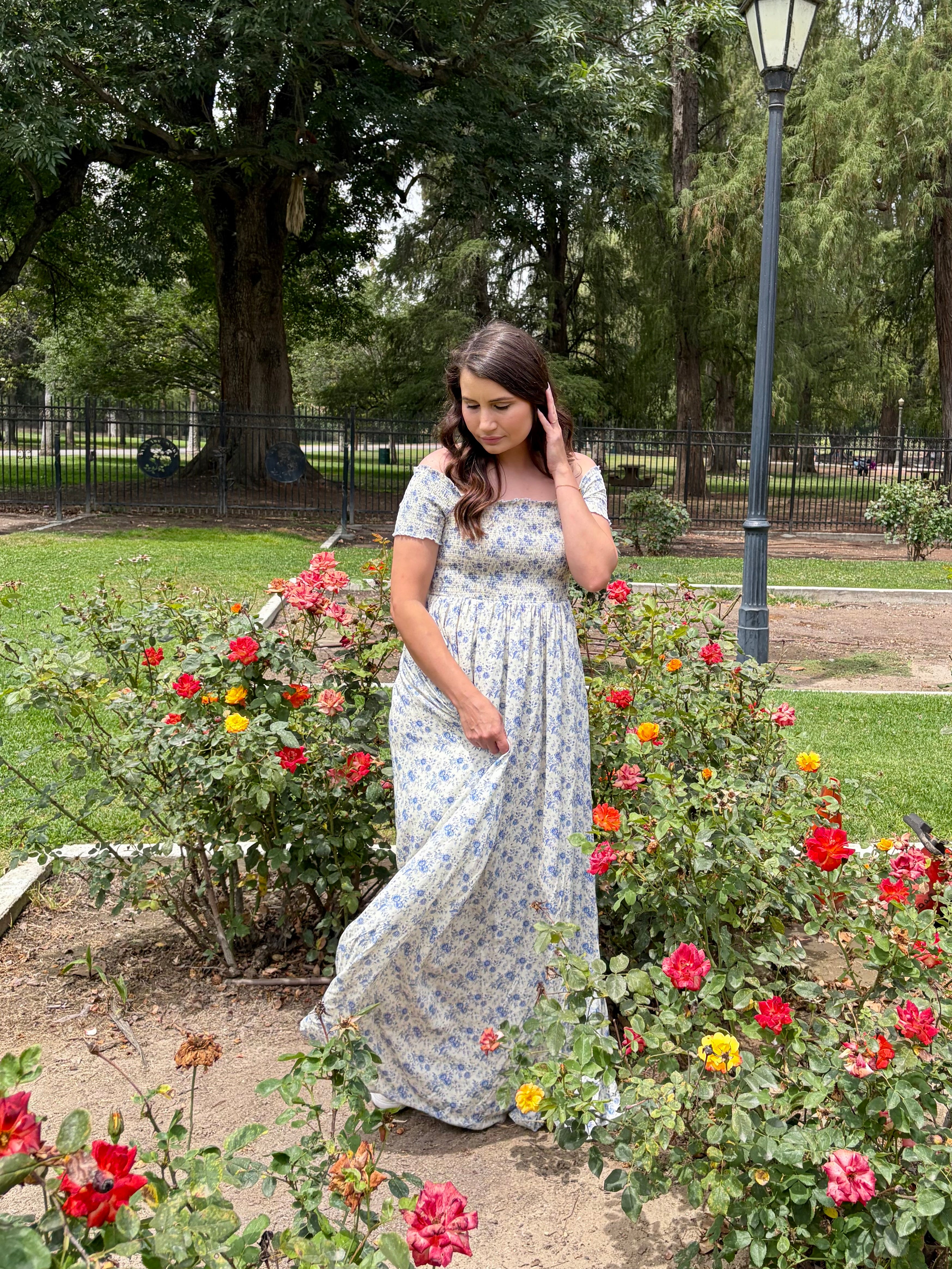 Daydream Floral Maxi